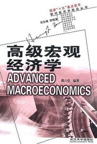 高级宏观经济学 (武汉大学出版社 2001)