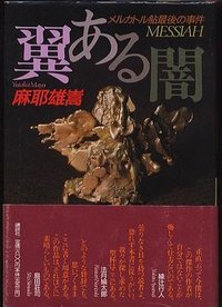 翼ある闇 (講談社 1991)