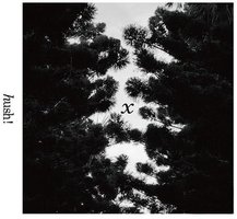 Ｘ