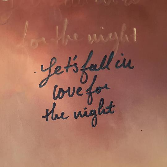 Let's Fall in Love for the Night
