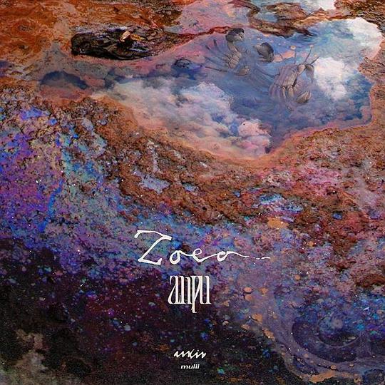 Zoea