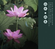 雨来