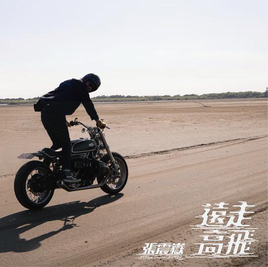 远走高飞