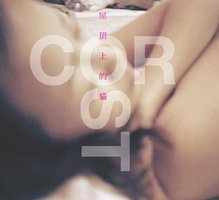 屋顶上的猫