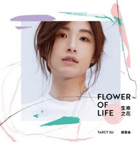 生命之花 Flower of Life