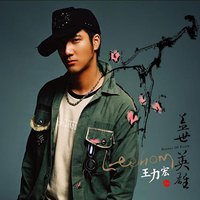 王力宏:盖世英雄(精装版)