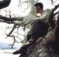 夏目友人帐 第一季ED