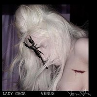 金星 / 美神