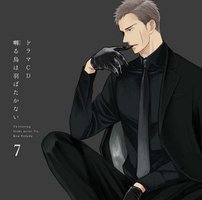鸣鸟不飞 7