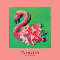 Flamingo / TEENAGE RIOT フラミンゴ盤 [CD+DVD+スマホリング/初回限定盤]