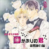 BiNETSUシリーズ「猫かぶりの君」ドラマアルバム2 新婚編