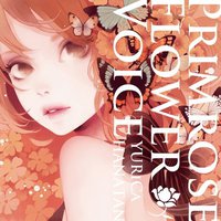 Primrose Flower Voice