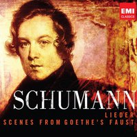 Schumann: Lieder (200th Anniversary Box)