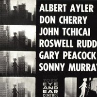 New York Eye & Ear Control