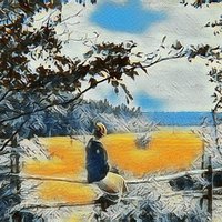 Spring Forever