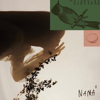 NANA Ⅱ