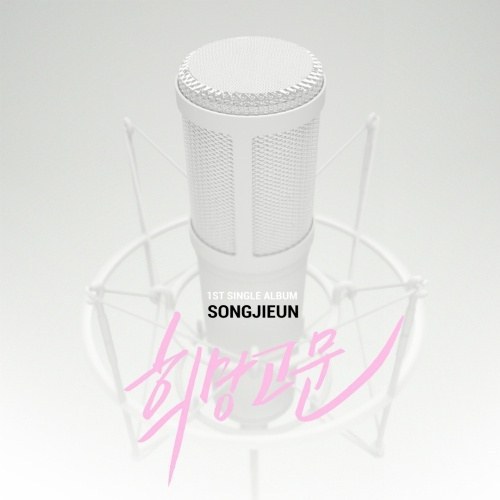 假的希望 / 1st Single Album