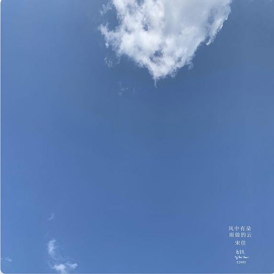 风中有朵雨做的云
