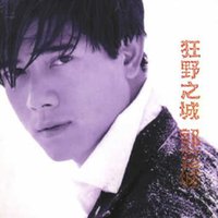 狂野之城