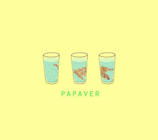 Papaver