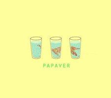 Papaver