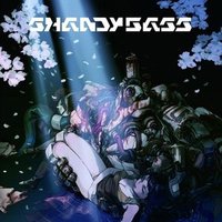 ShandyBass
