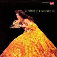 宝丽金88极品音色系列 - 金光灿烂徐小凤演唱会'89