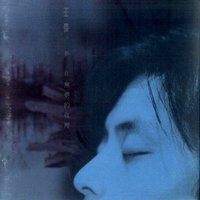 梦在无梦的夜里