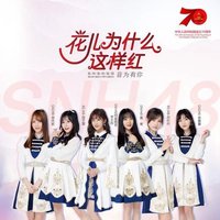 花儿为什么这样红