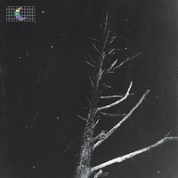 (Colour of the Night) Satellite