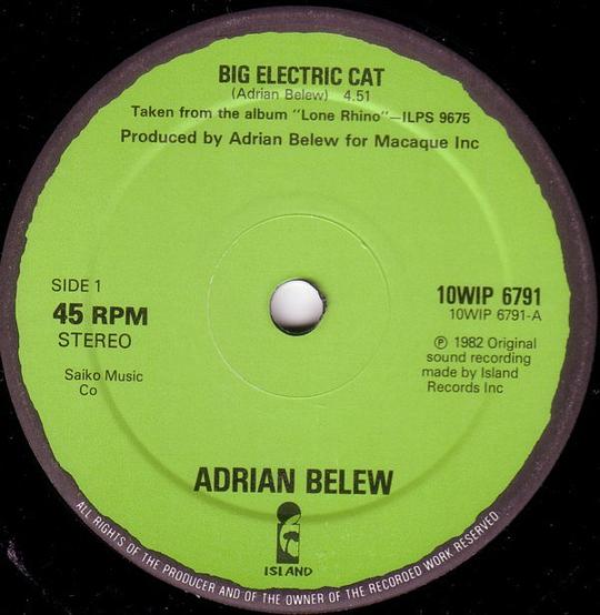 Big Electric Cat / The Lone Rhinoceros