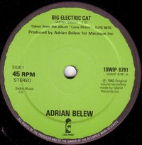 Big Electric Cat / The Lone Rhinoceros