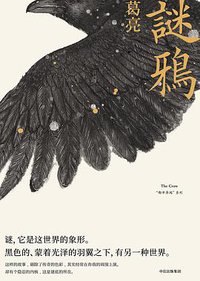 谜鸦 (中信出版社 2017)