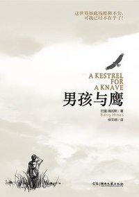 男孩与鹰 (湖南文艺出版社 2011)