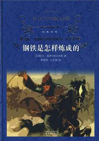 钢铁是怎样炼成的 (译林出版社 2010)