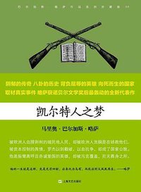 凯尔特人之梦 (上海文艺出版社 2016)