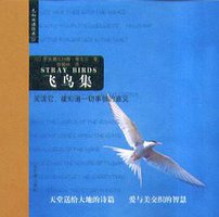 飞鸟集 (哈尔滨出版社 2004)