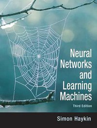 Neural Networks and Learning Machines (Pearson 2008)