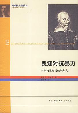 良知对抗暴力