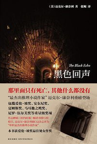 黑色回声 (新星出版社 2009)