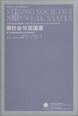 强社会与弱国家