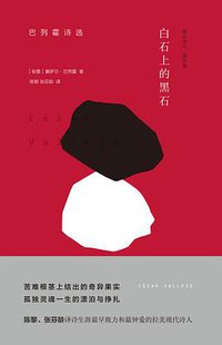 白石上的黑石
