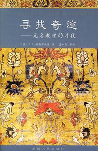 寻找奇迹 (新疆人民出版社 2004)