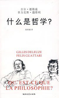 什么是哲学 (湖南文艺出版社 2007)