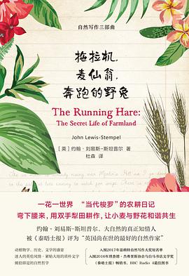 拖拉机,麦仙翁,奔跑的野兔
