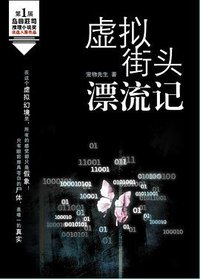 虚拟街头漂流记 (当代世界出版社 2009)