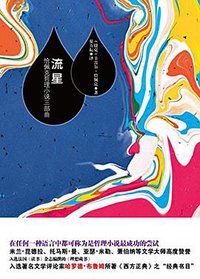 流星 (新华出版社 2015)