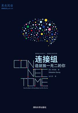 连接组
