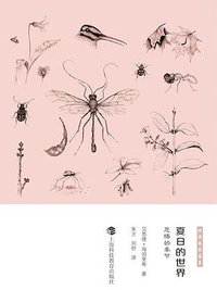 夏日的世界 (上海科技教育出版社 2016)