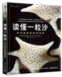 读懂一粒沙 (电子工业出版社 2017)